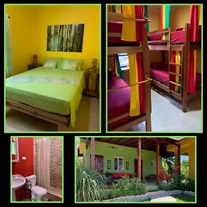 Queendom Farm And , Oracabessa Jamaica